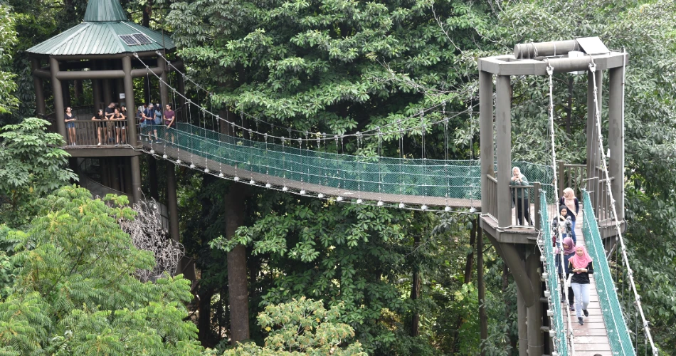 10 Best Things to Do in Bukit Bintang