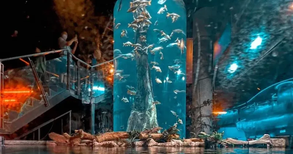10 Best Night Attractions in Kuala Lumpur